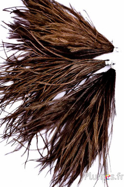 Hanger struisvogel - 15-20 cm - bruin